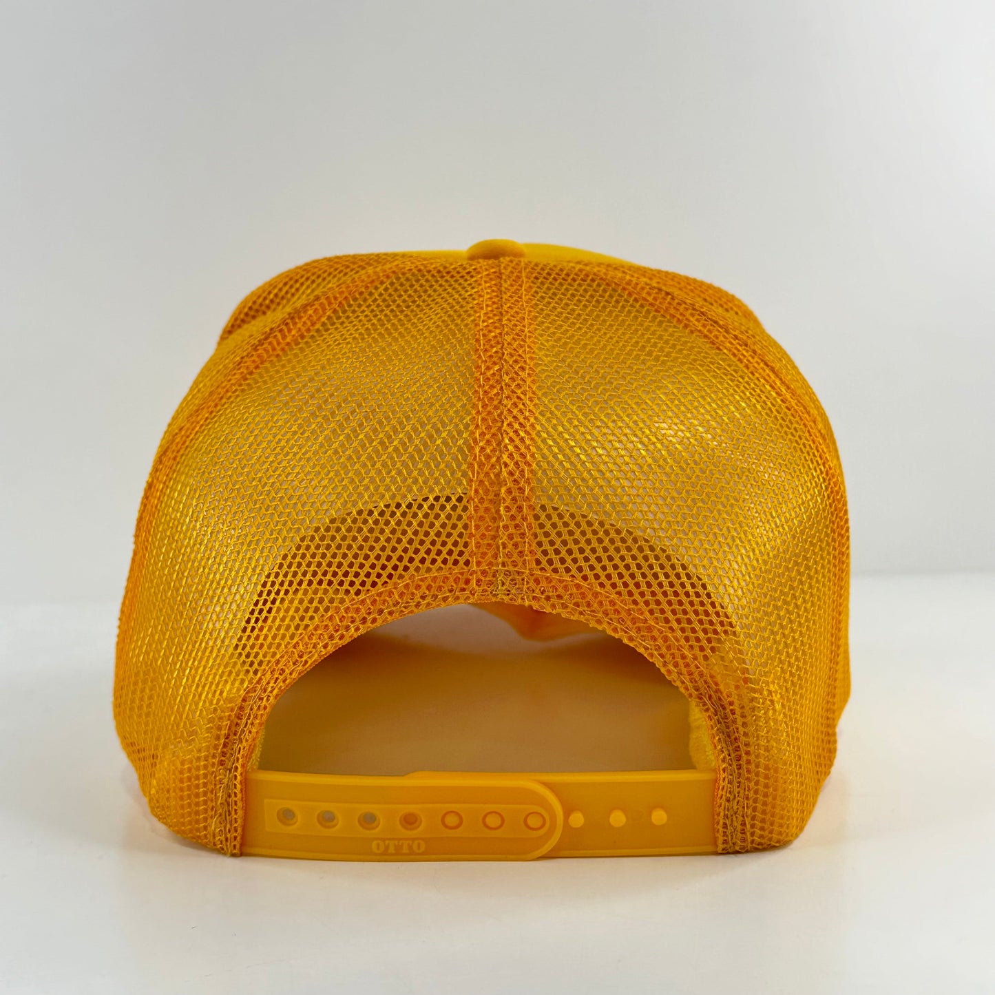 Pope Leo's Holy Water Hat.