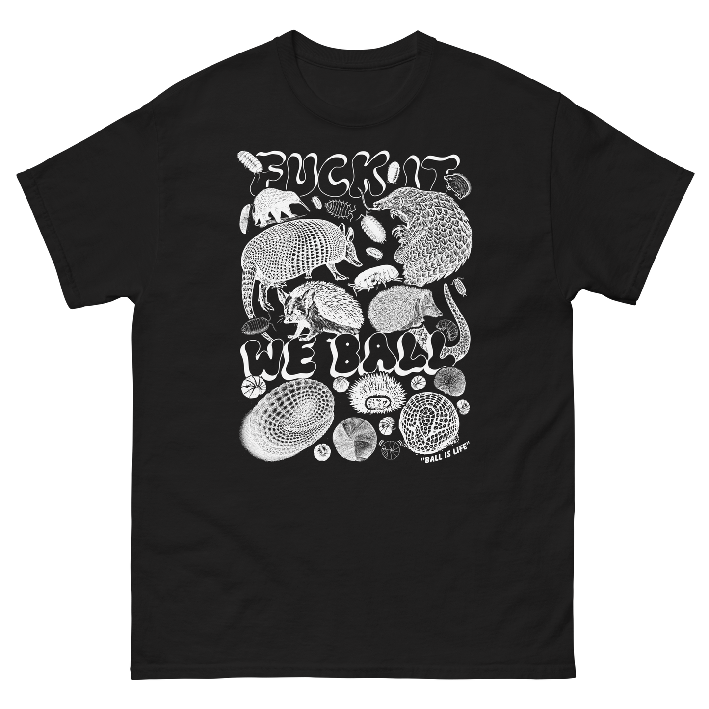 Fuck It We Ball by @ArcaneBullshit.