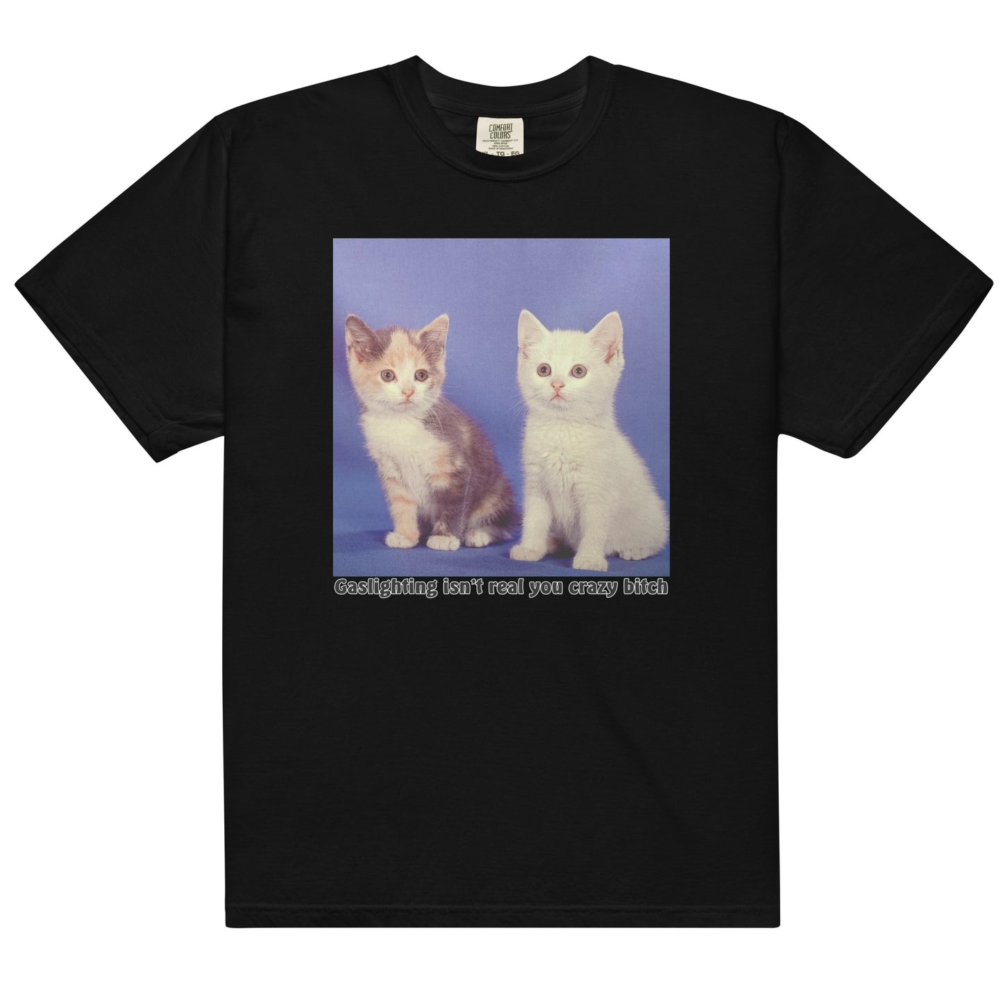 Gaslighting Isn't Real You Crazy Bitch.