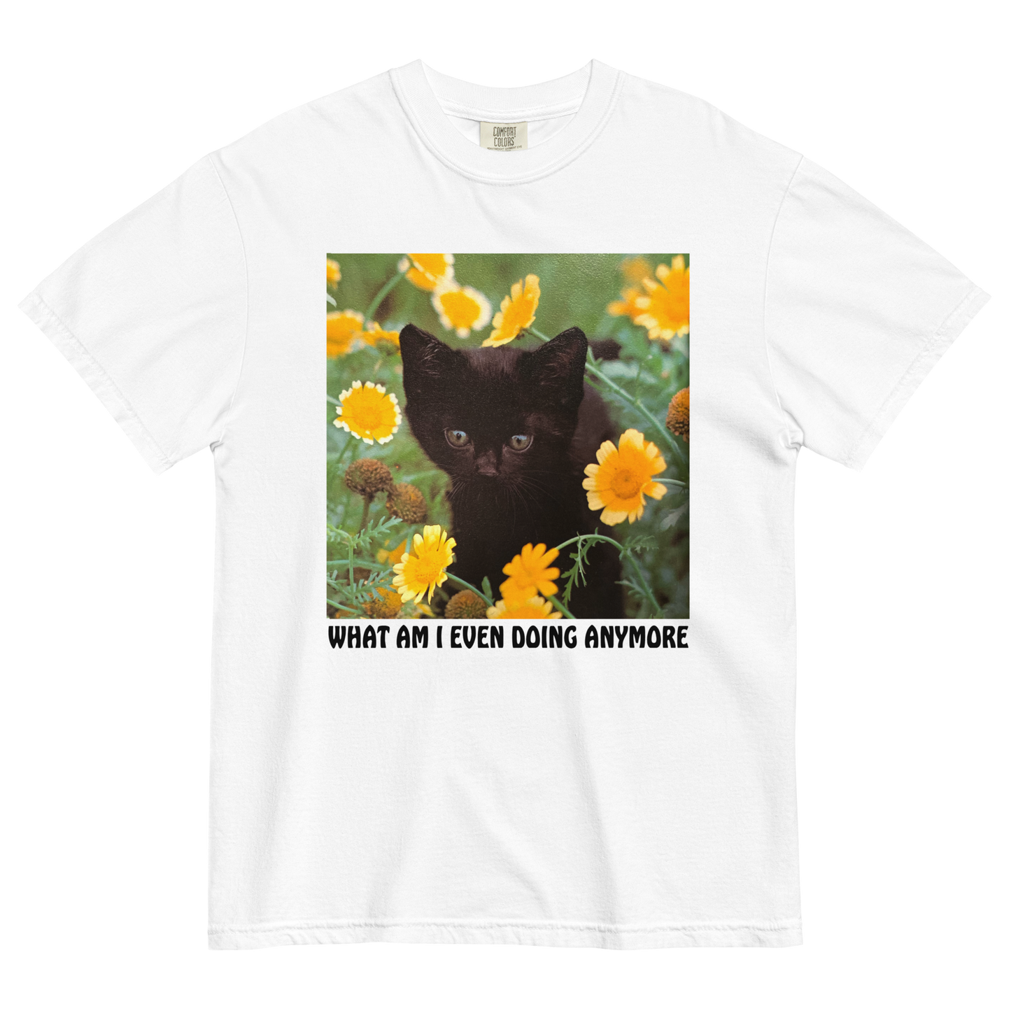 What Am I Even Doing Anymore.