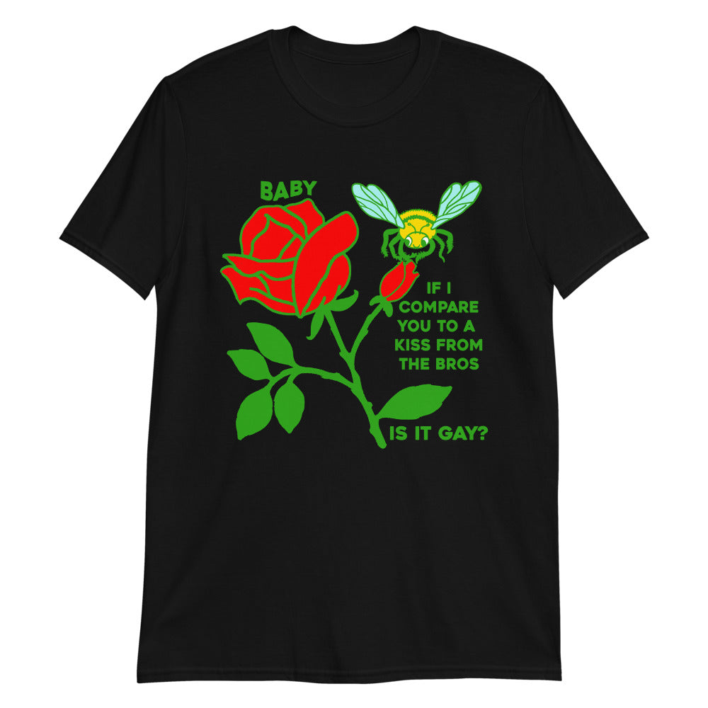 Baby, If I Compare You To A Kiss From The Bros, Is It Gay?