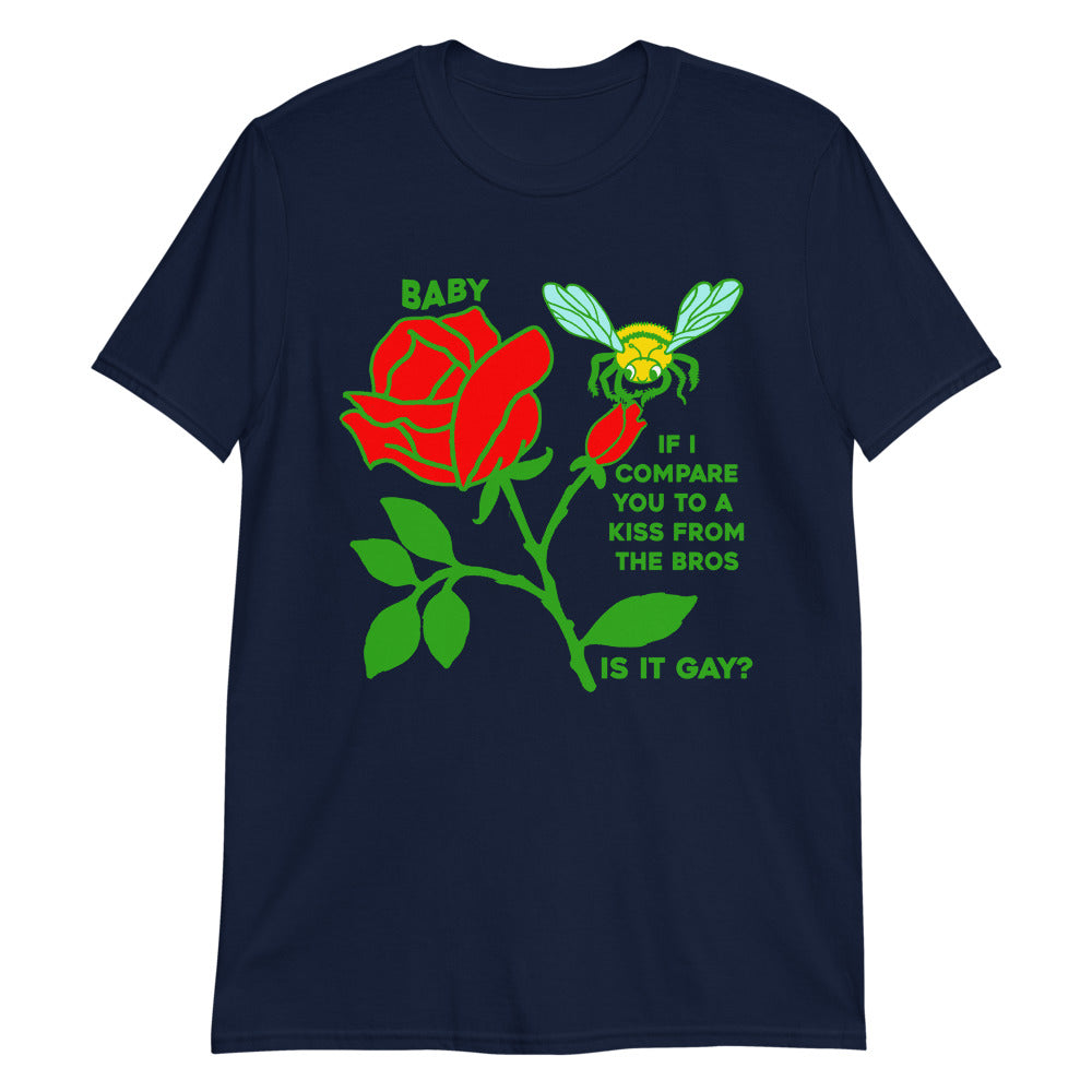 Baby, If I Compare You To A Kiss From The Bros, Is It Gay?