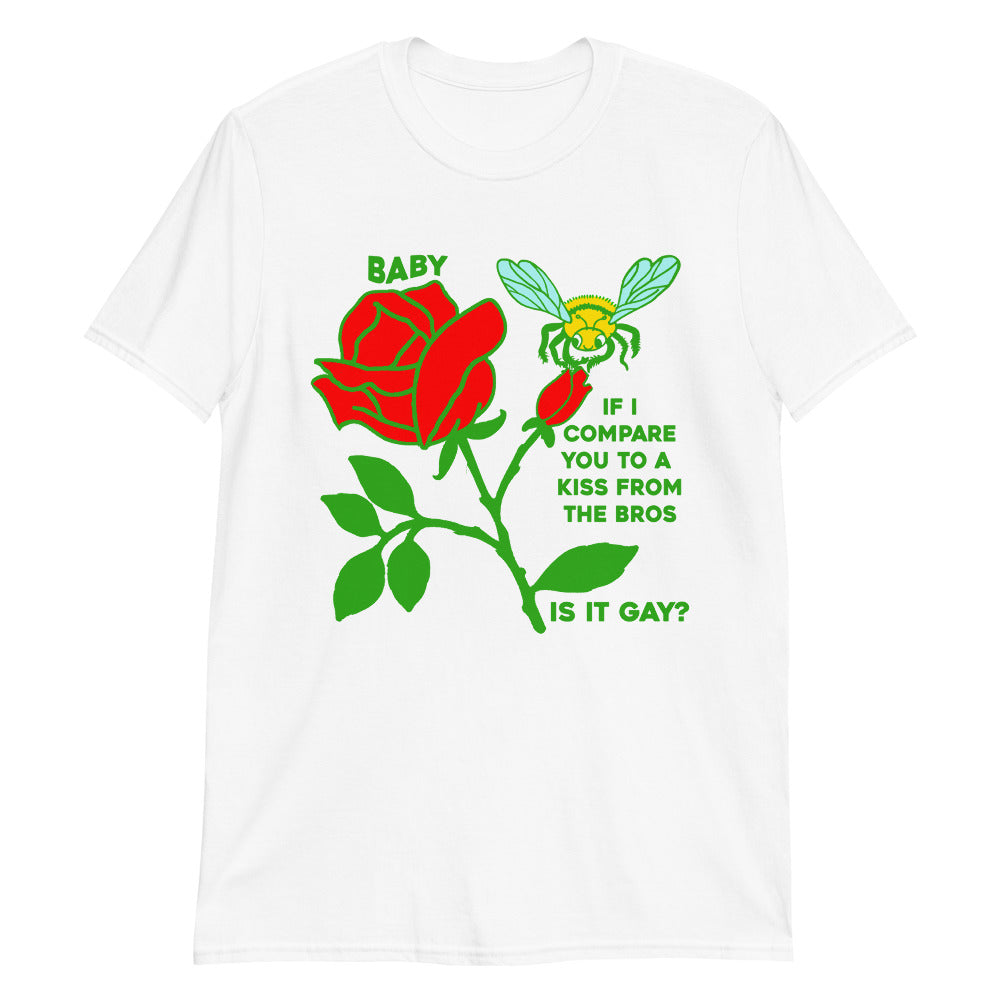 Baby, If I Compare You To A Kiss From The Bros, Is It Gay?