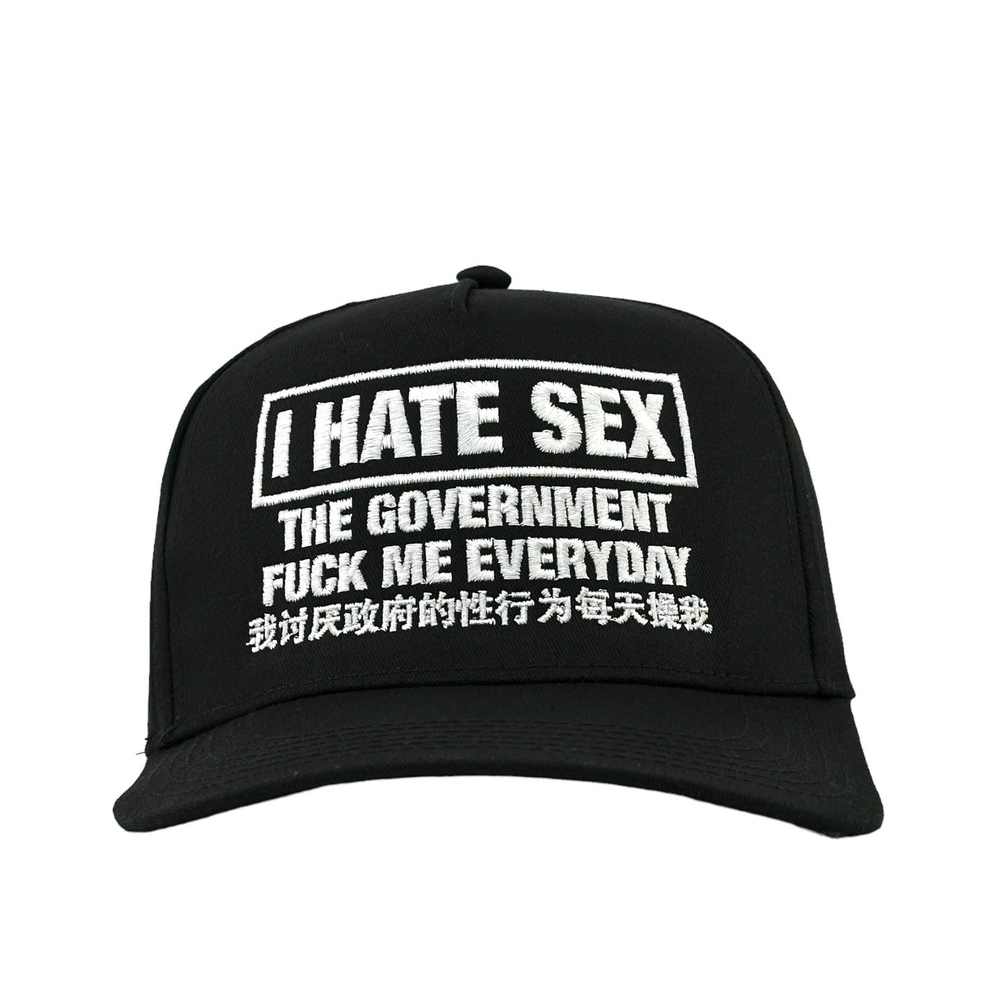 I Hate Sex The Government Fuck Me Everyday.