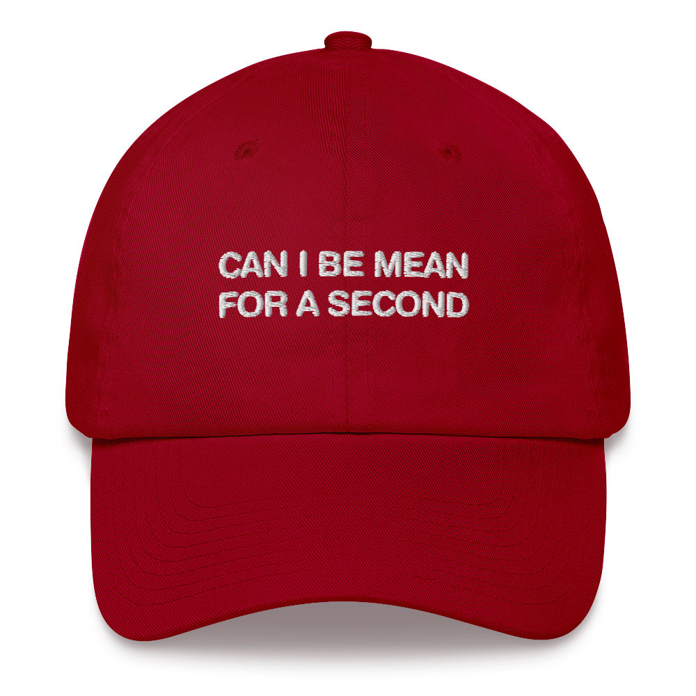Can I Be Mean For A Second Dad Hat.