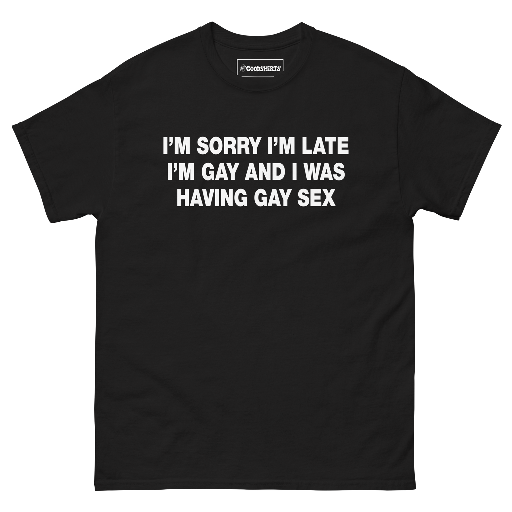 I M Sorry I M Late I M Gay And I Was Having Gay Sex Good Shirts