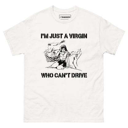 I'm Just A Virgin Who Can't Drive.