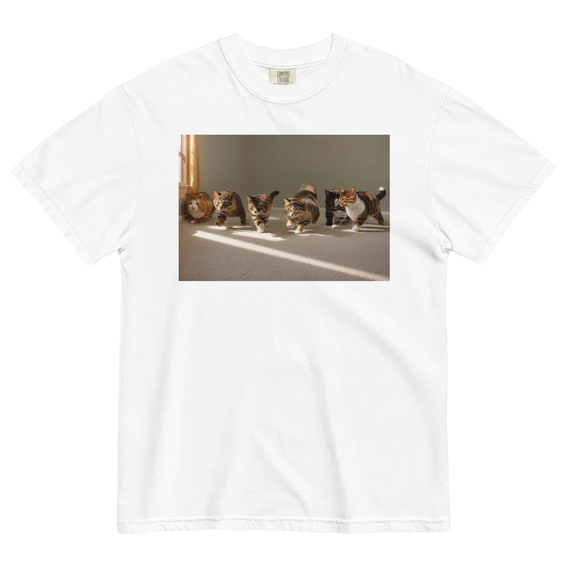 Gay Sex. – Good Shirts