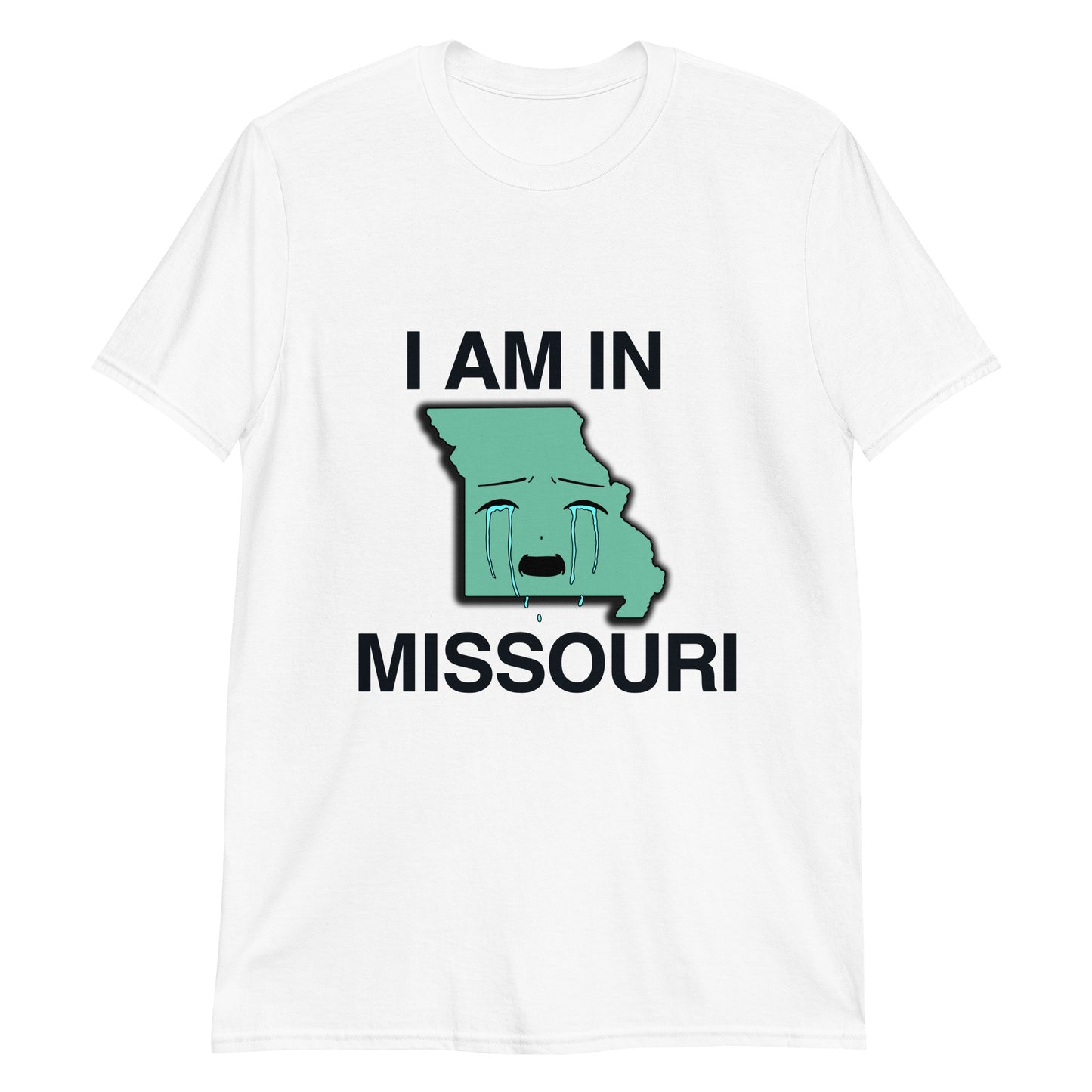 I Am in Missouri.